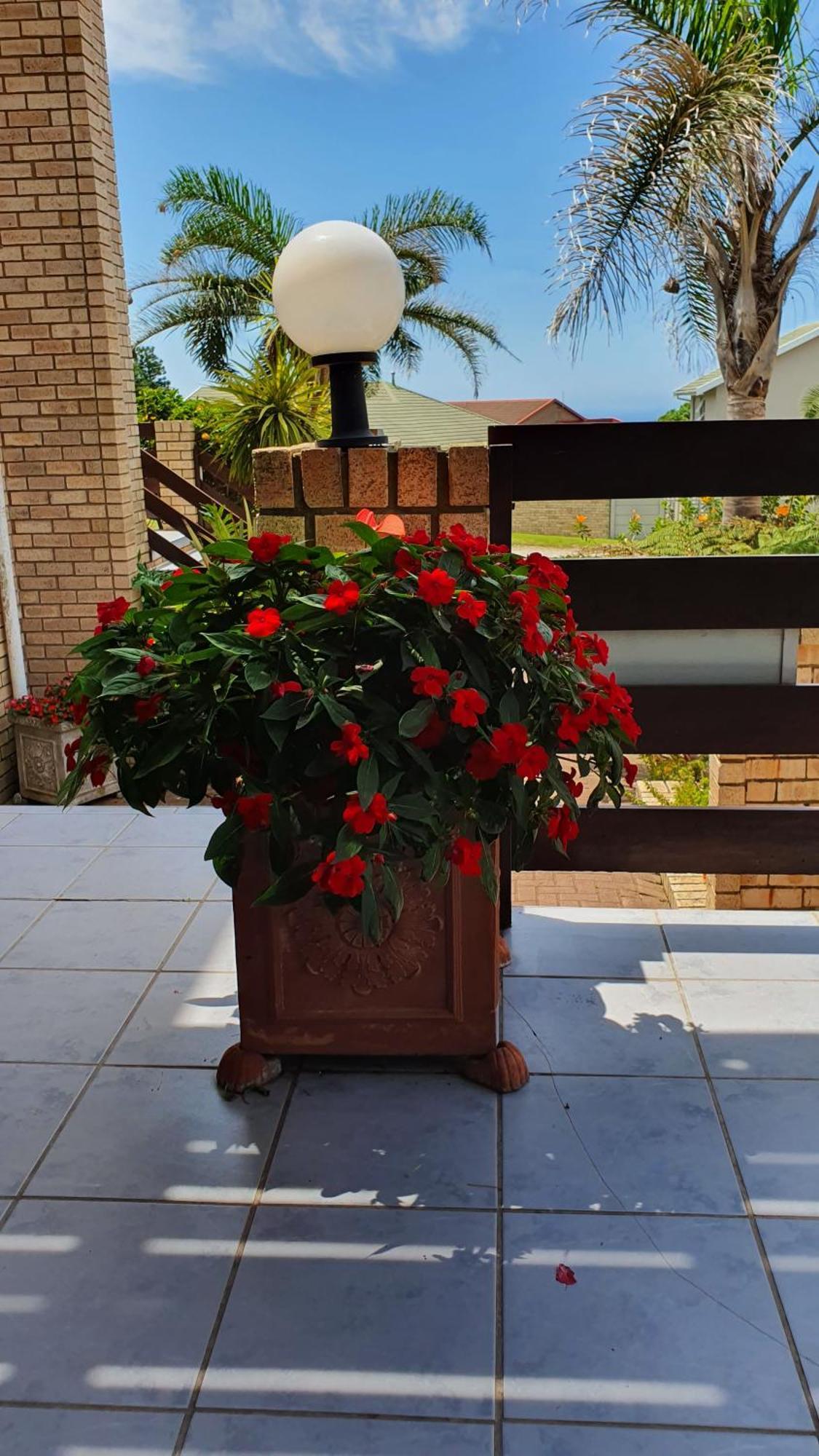Villa Majestic for Exclusive Accommodation Port Alfred Exterior foto
